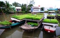 Wooden boats carry plants on canal in Chaudok, Vietnam Royalty Free Stock Photo