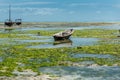 Wooden boats during outflow in Zanzibar Royalty Free Stock Photo