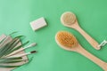 Wooden body brushes and toothbrushes natural soap