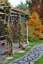 Wooden bower in autumn garden