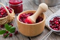 Bowl of crushed cranberries, basket of bog berries, jar of crushed berries, jam or sauce and strainer of cranberries.