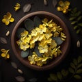 wooden bowl on a dark boho background, flowers and airy fabric, top view