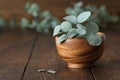 Wooden bowl of eucalyptus leaves on wooden table