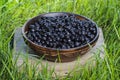 Wooden bowl of fresh blueberries Royalty Free Stock Photo