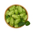 Wooden bowl of fresh green hops isolated on white Royalty Free Stock Photo