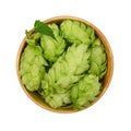 Wooden bowl of fresh green hops isolated on white Royalty Free Stock Photo