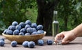 Wooden bowl of garden plums and plum brandy drink in shot glasses on old wooden table with a tablecloth, copy space Royalty Free Stock Photo