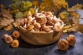 Wooden bowl with mushrooms on the background of a oak leaves. Close -up on wood rustic table. Cooking delicious organic mushroom. Royalty Free Stock Photo