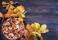 Wooden bowl with mushrooms on the border of a oak leaves. Close -up on wood rustic table. Cooking delicious organic mushroom. Royalty Free Stock Photo