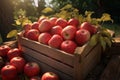 Wooden box with apples in the garden, autumn harvest. AI generative