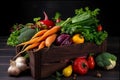 Wooden box with autumn harvest farm vegetables Royalty Free Stock Photo