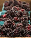 Wooden box with baskets of Marionberries Royalty Free Stock Photo