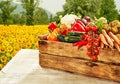 Wooden box filled with farm fresh vegetables Royalty Free Stock Photo