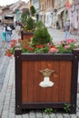 Wooden box with flowers flowerpot