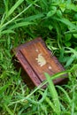 Wooden box in the forest