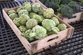 Wooden Box of Fresh Artichokes