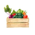 Wooden box with fresh organic vegetables isolated on white background. Royalty Free Stock Photo