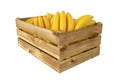 Wooden box. Full of bananas fruit. Isolated on white background. Royalty Free Stock Photo