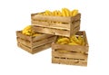 Wooden box. Full of bananas fruit. Isolated on white background.