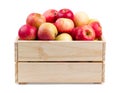 Wooden box full of fresh apples isolated Royalty Free Stock Photo