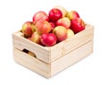 Wooden box full of fresh apples isolated Royalty Free Stock Photo