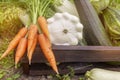 Wooden box full of fresh raw vegetables. Vegetable basket: cabbage, carrots, zucchini. Harvesting. Fresh vegetables. Close up. Royalty Free Stock Photo