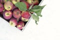 Wooden box full of fresh red apples with leaves on white background Royalty Free Stock Photo