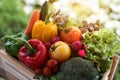 wooden box full of fresh vegetables Royalty Free Stock Photo