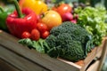 Wooden box full of fresh vegetables. Royalty Free Stock Photo