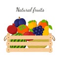 A wooden box full of ripe fresh fruit, watermelon, grapes, apple, pear. Natural, organic food. The concept of growing your own Royalty Free Stock Photo