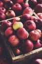 Wooden box full of ripe red apples