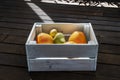 A wooden box full of vegetables and fresh tomatoes, peppers and zucchini and a background of wooden planks Royalty Free Stock Photo