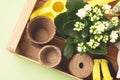 Wooden Box with Garden Tools and Flower in a Pot Small Pots Threads Garden Gloves Yellow Watering Can Gardening Spring Concept Royalty Free Stock Photo