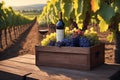 A wooden box with grapes and a bottle of wine stands on a table in the vineyard