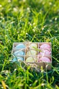 Wooden box with hand painted pink, yellow and blue eggs lies on spring green grass at sunlight. Happy Easter! Decoration, egg hunt Royalty Free Stock Photo