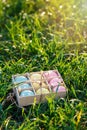 Wooden box with hand painted pink, yellow and blue eggs lies on spring green grass at sunlight. Happy Easter! Decoration, egg hunt Royalty Free Stock Photo