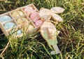 Wooden box with hand painted pink, yellow and blue eggs lies on spring green grass at sunlight. Happy Easter! Decoration, egg hunt Royalty Free Stock Photo