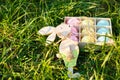 Wooden box with hand painted pink, yellow and blue eggs lies on spring green grass at sunlight. Happy Easter! Decoration, egg hunt Royalty Free Stock Photo