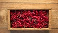 Wooden box with murrey haw berries of wild hawthorn on rough wooden background