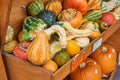 Wooden box of organic squashes and pumpkins for sale Royalty Free Stock Photo