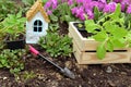 Wooden box with petunia sprouts, gardening spade and tiny house on flowerbed outside in the garden