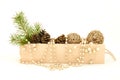 Wooden box with pine branch, cones and decorations