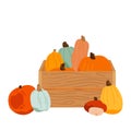 Wooden box with pumpkins. Set of colored ripe pumpkins. Local vegetables in a wooden box. Big autumn harvest. Healthy