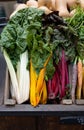 wooden box of rainbow chard and rhubarb