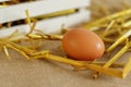 Raw rural brown eggs Royalty Free Stock Photo