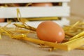 Raw rural brown eggs Royalty Free Stock Photo