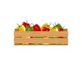 Wooden box with red and yellow pepper isolated on a white background. Autumn harvest. Royalty Free Stock Photo