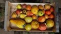 Wooden box with ripe organic fruits and vegetables Royalty Free Stock Photo