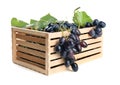 Wooden box with ripe sweet grapes on white background Royalty Free Stock Photo