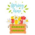 Wooden box with spring flowers, tulips, daffodils, dragonfly, bee. The words Springtime. Bright color vector illustration,